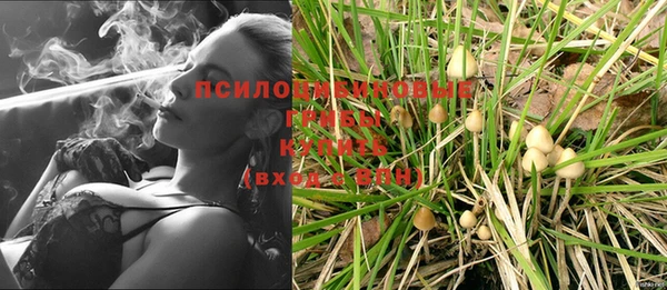метадон Коряжма